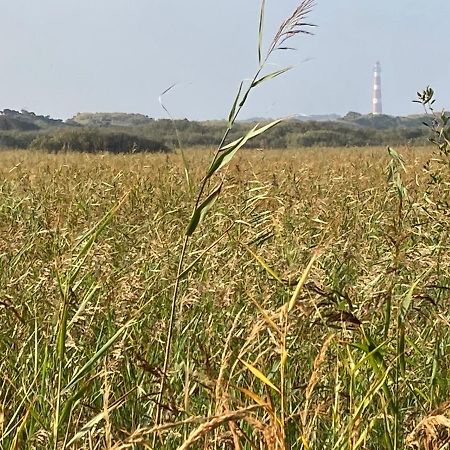 霍勒姆Meeuw别墅 外观 照片